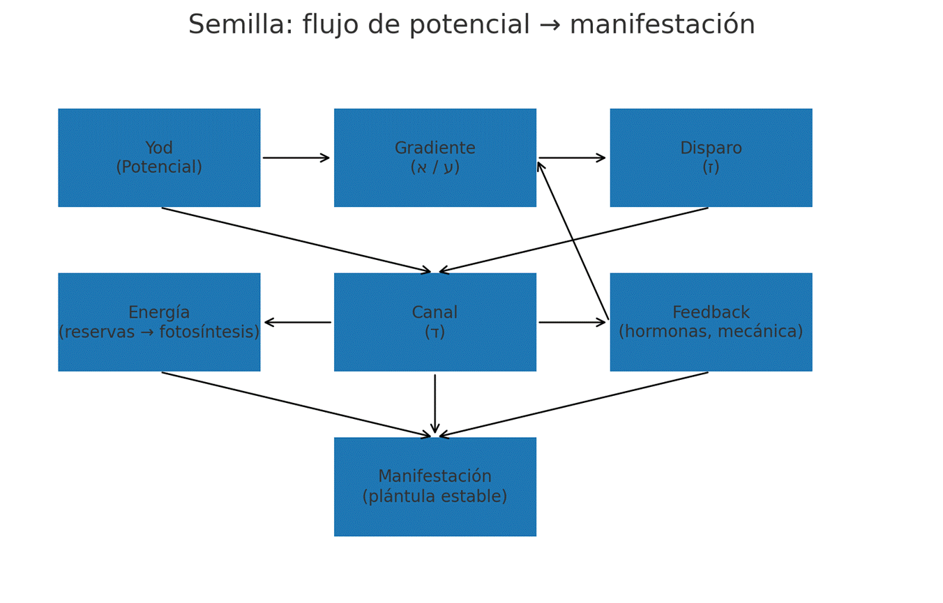 Diagrama

El contenido generado por IA puede ser incorrecto.